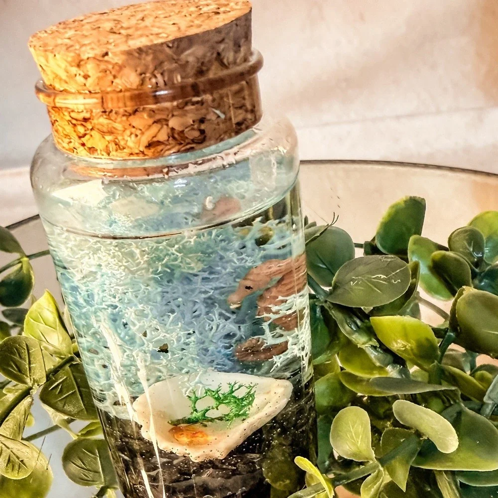 Mini Seahorse and Fish Aquarium